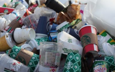 Press release: Environmental committee stands with pledge to phase out unnecessary packaging waste